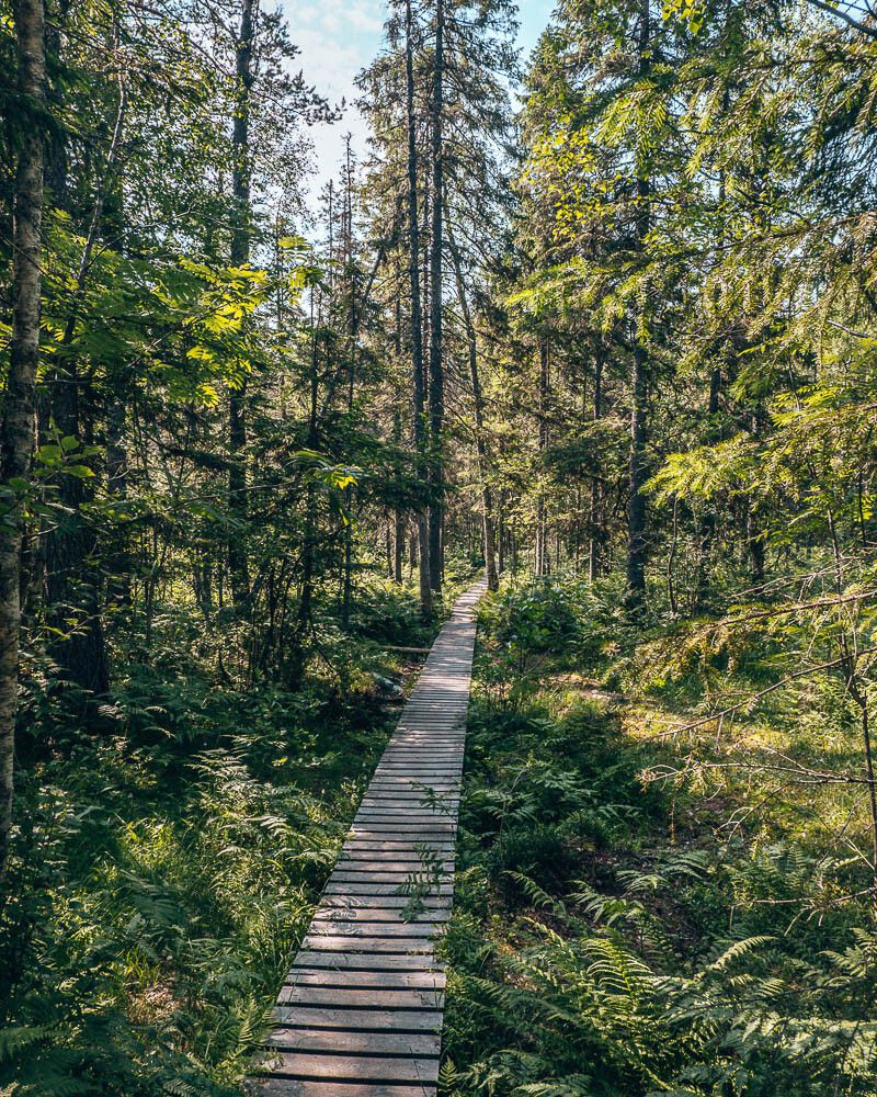 Path to south entrance skuleskogen