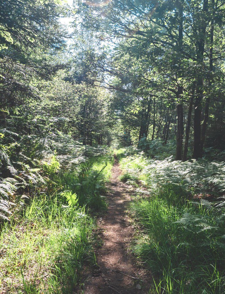 Vallée de Misère hike rocroi