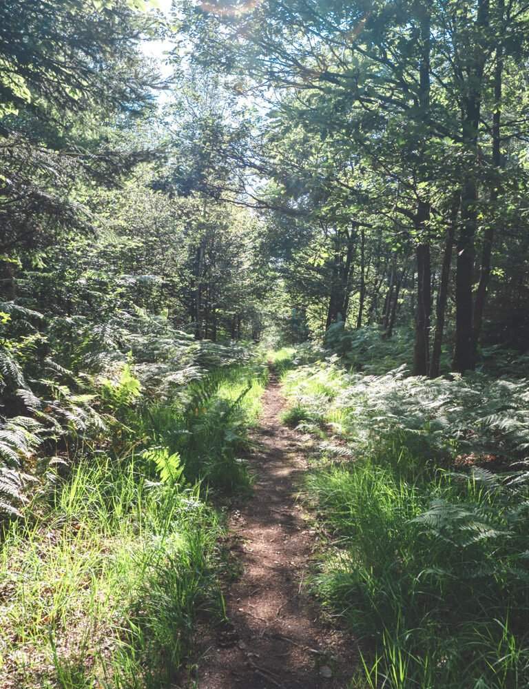 randonnée Vallée de Misère rocroi