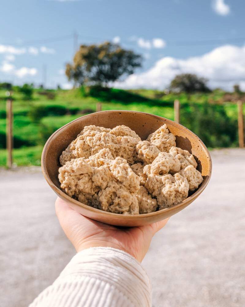 recette facile de poulet au seitan