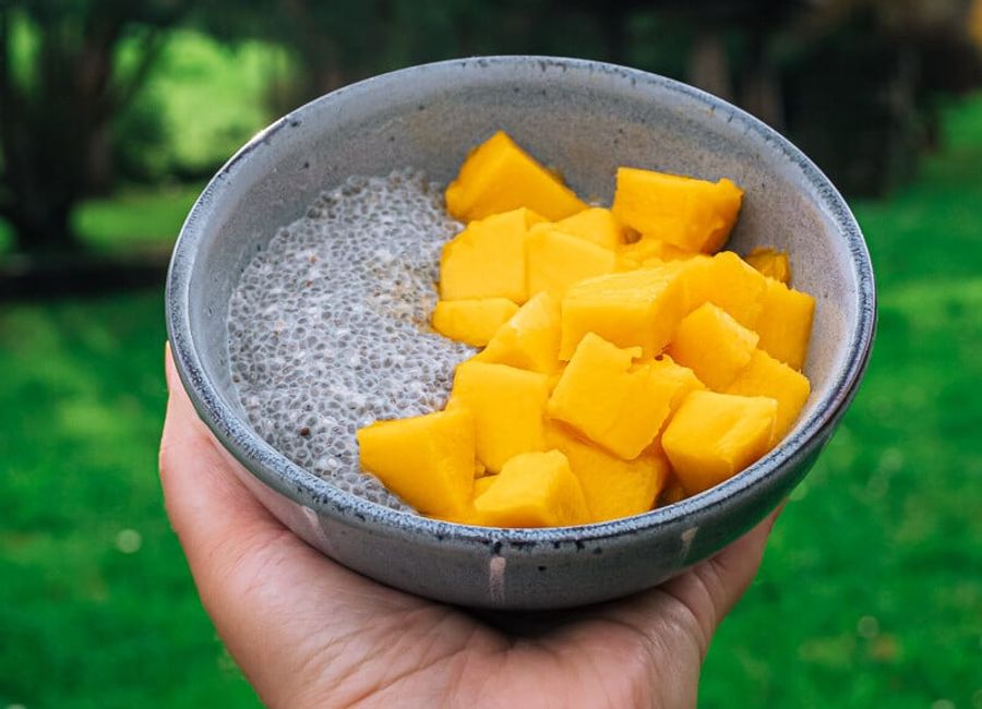 mango chia pudding
