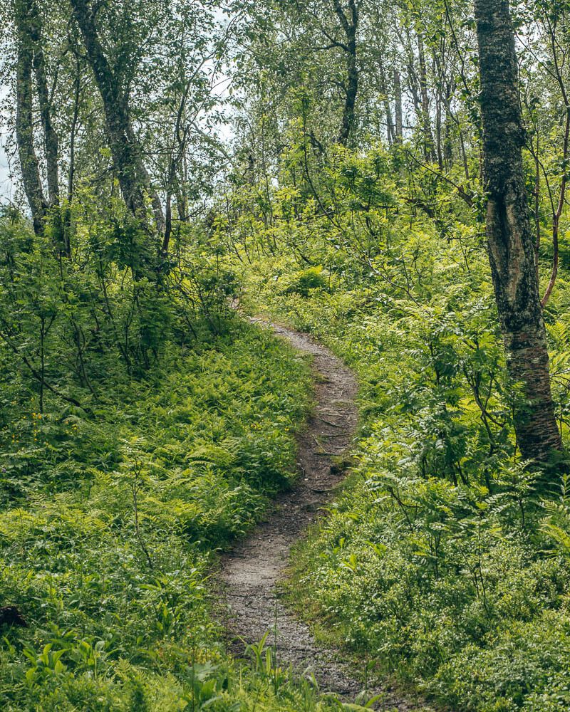 hiking path bredekrunden