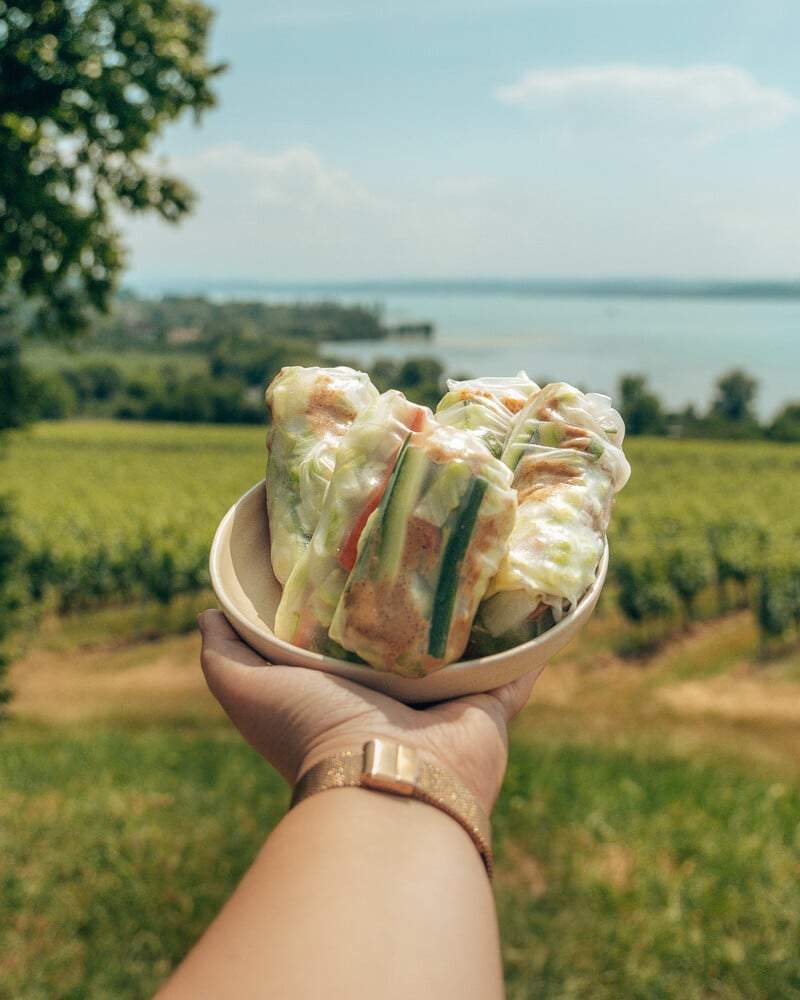 vegane loempia's met tofu met de Bodensee op de achtergrond