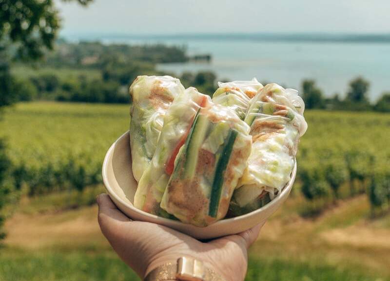 vegan springrolls with tofu with the bodensee in the background