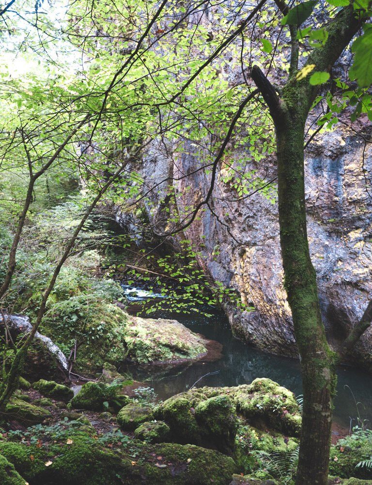 Gorges du Pas de Cère