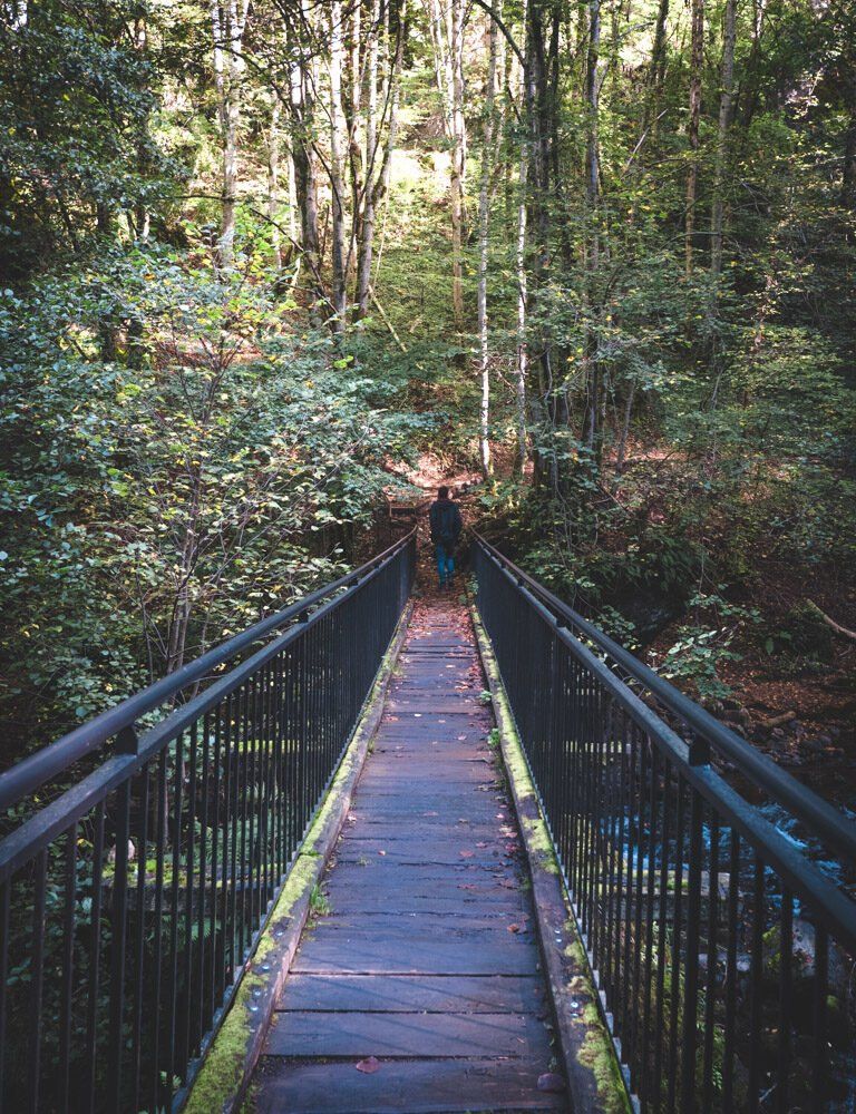 bridge in the gorge 