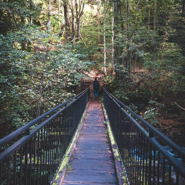 bridge in the gorge