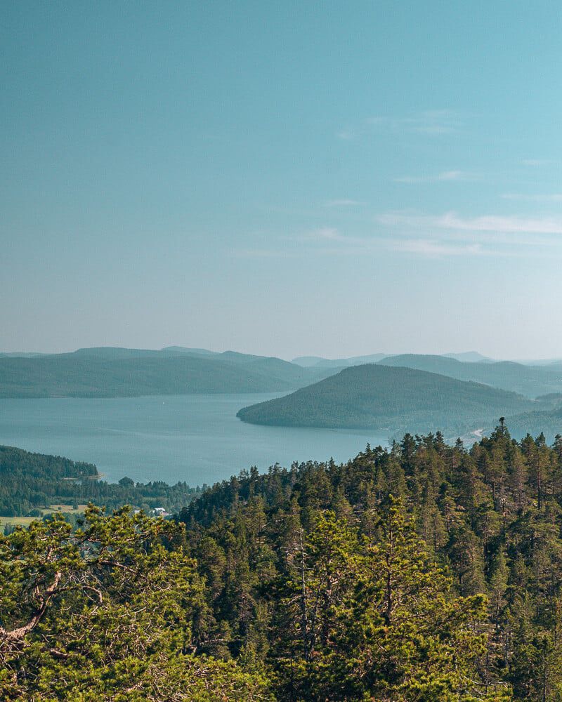 view