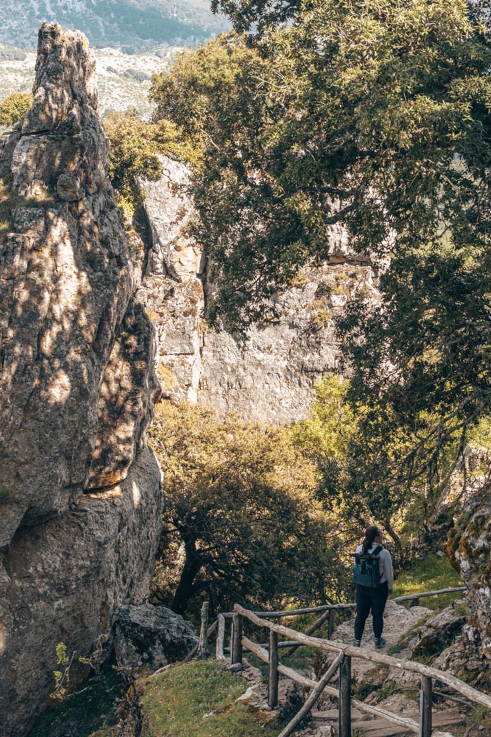 Parc national du Gennargentu en Sardaigne, Monte Santu Juvanne.