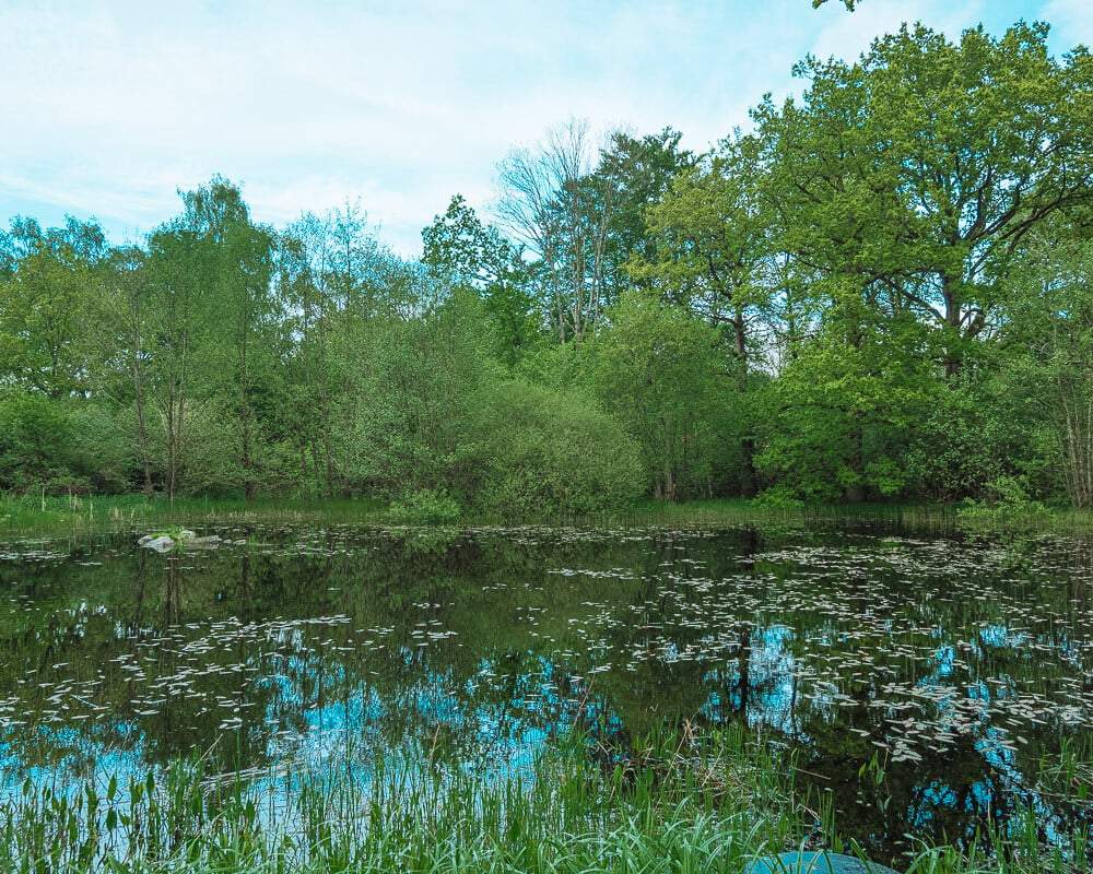 Small Lake