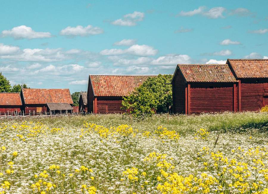 Gamla Uppsala
