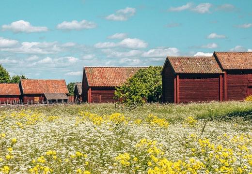 Gamla Uppsala