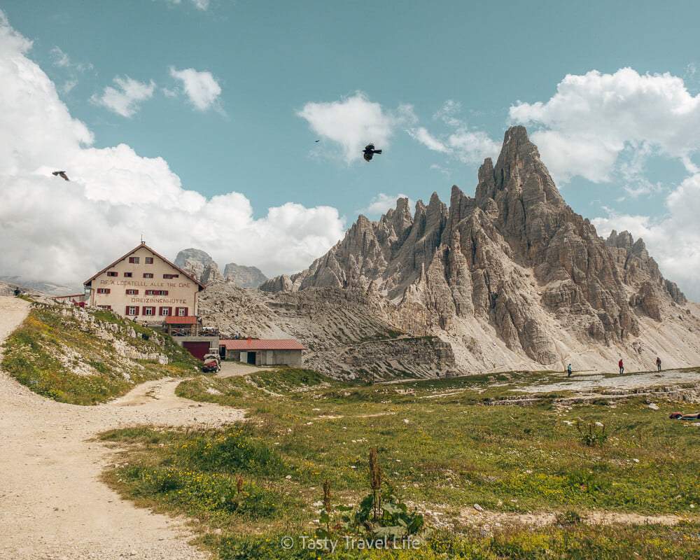 View of Dreizinnen hut and mountains in the back. two birds flying through the picture.