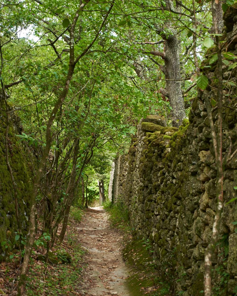 Uzès historical walk