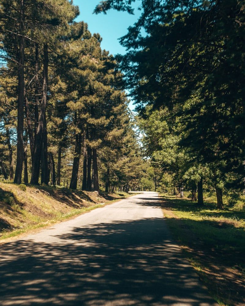 Weg in Nationaal Park Gennargentu door het bos
