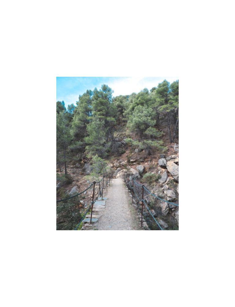 Path Ruta Hidroelectrica
