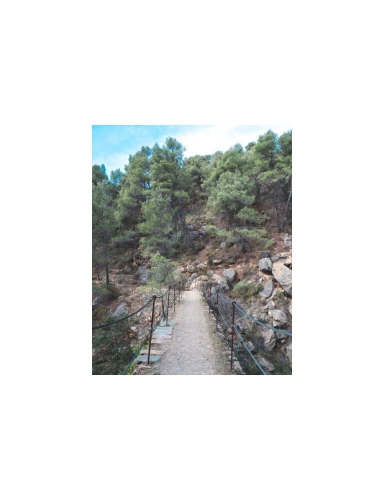 Path Ruta Hidroelectrica