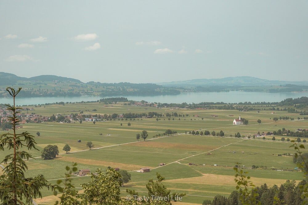 View of the area around Neuschwanstein