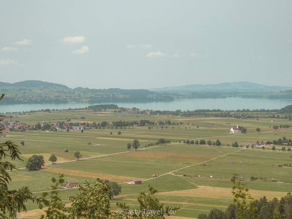 View of the area around Neuschwanstein
