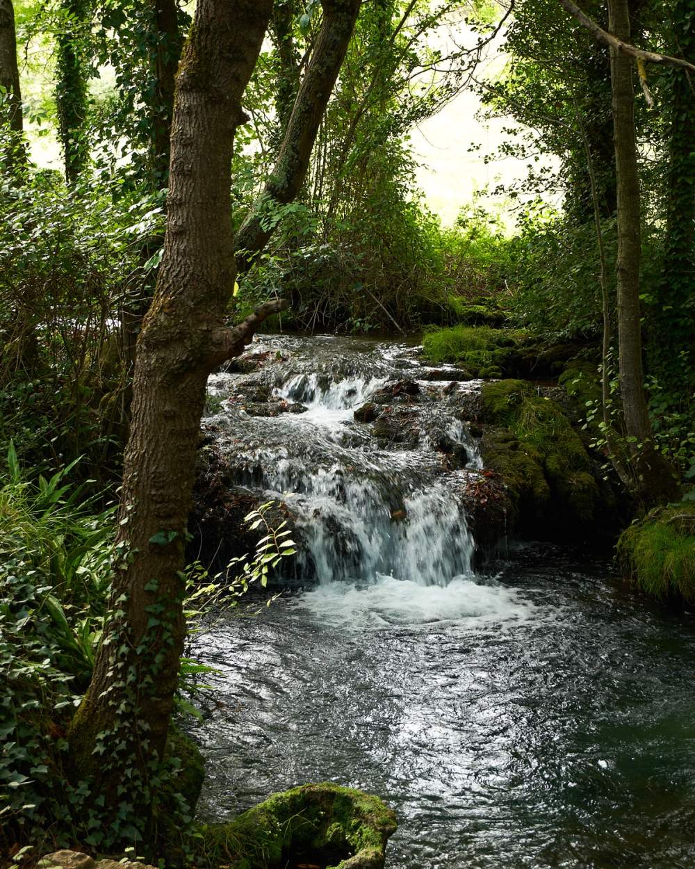 Cascade de creissels