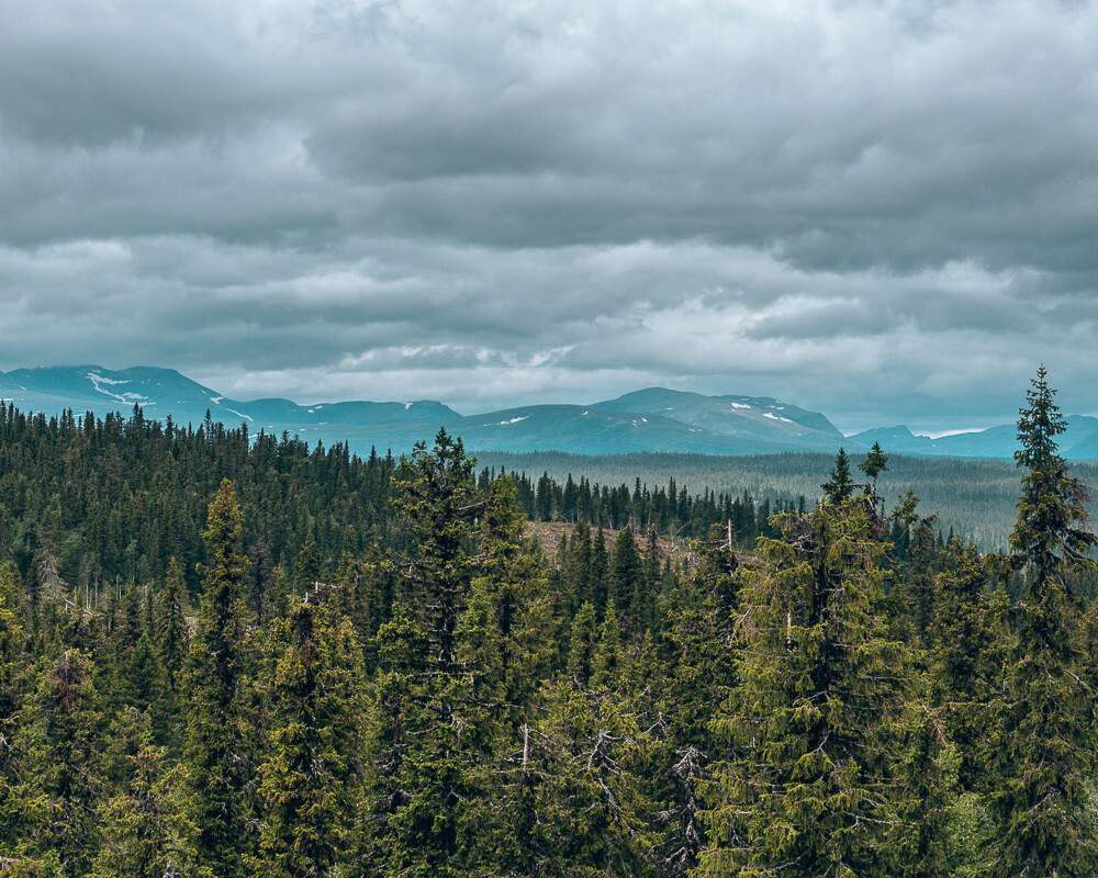 Point de vue de Stalonberget sur la route de la nature