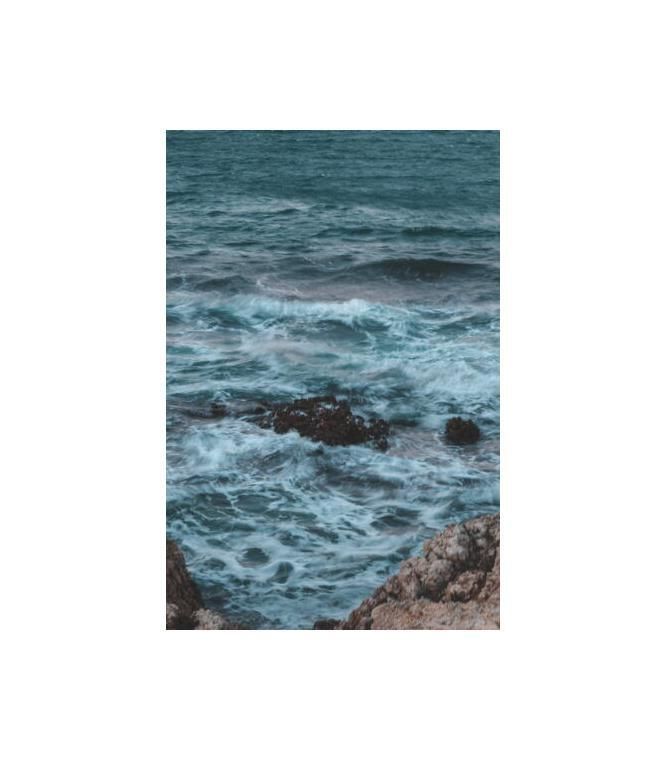Waves in the water