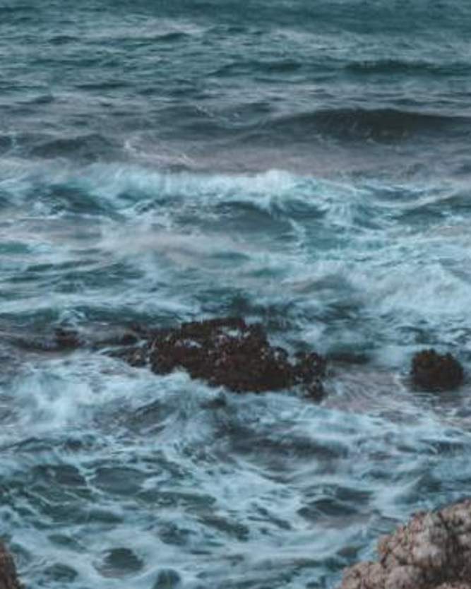 Vagues dans l'eau