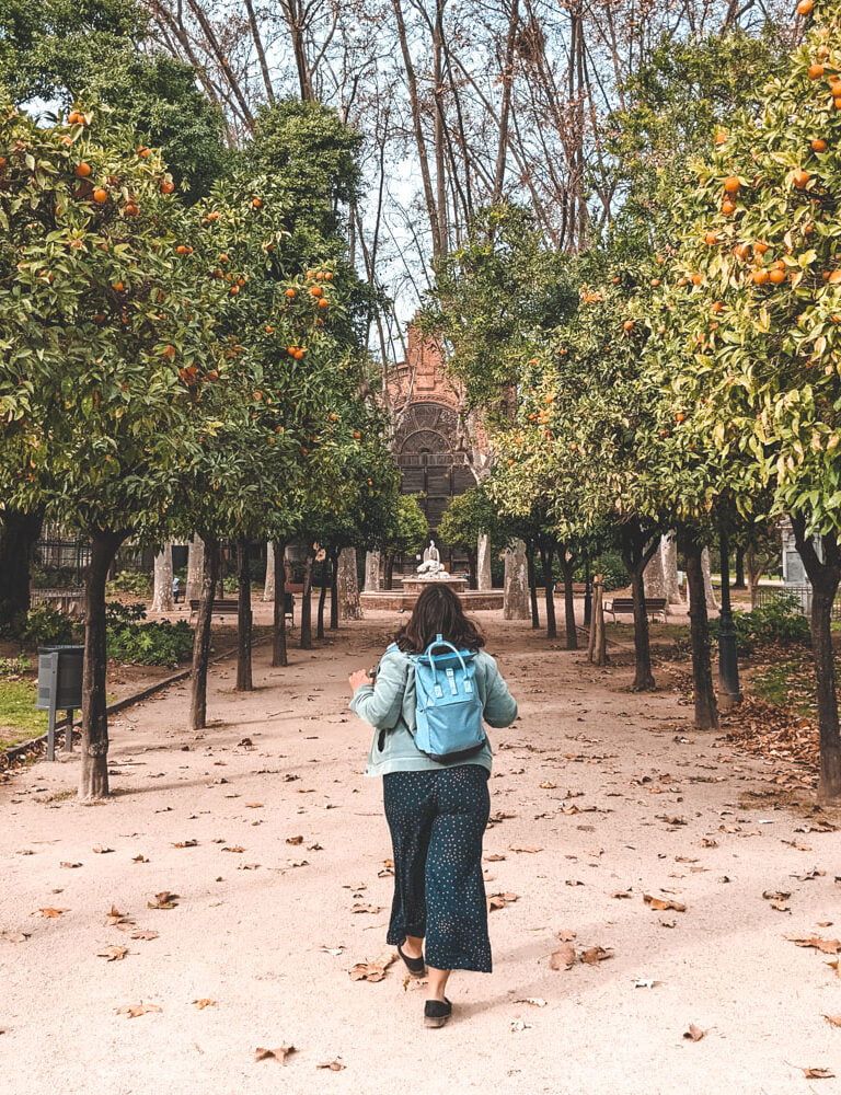 Fruit trees Barcelona