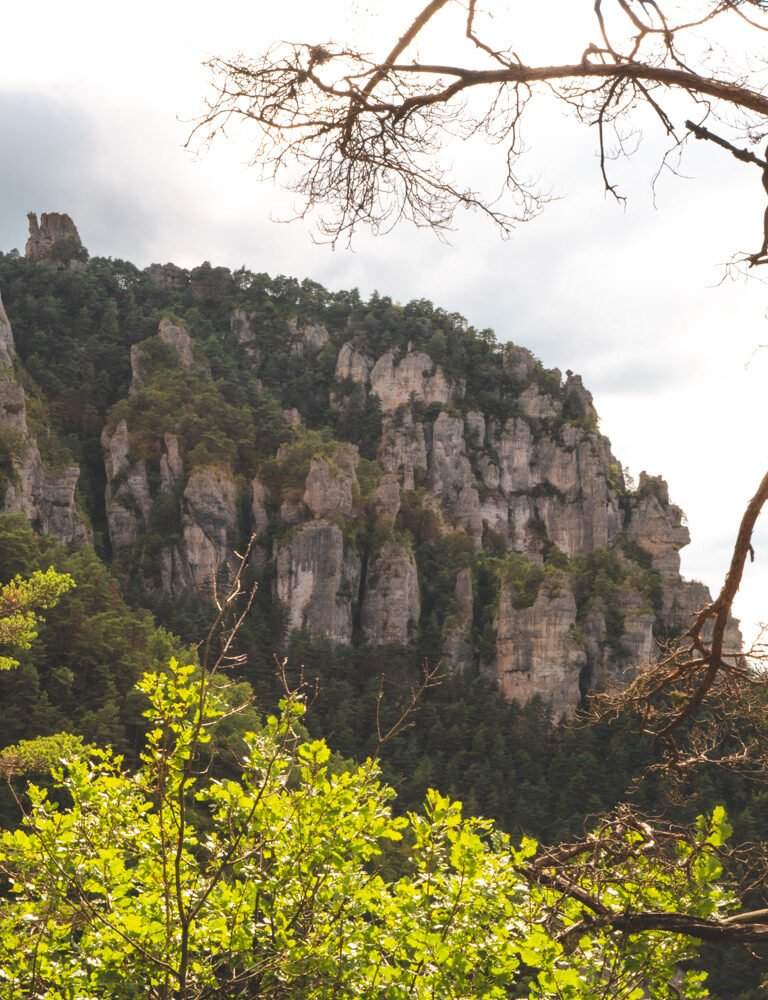 Voir les Gorges du Tarn