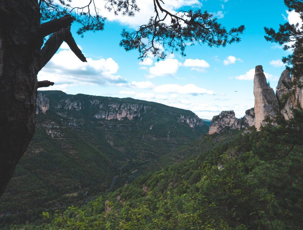 Views Gorges du Tarn
