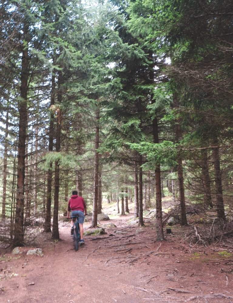 forest biking around lac de charpal