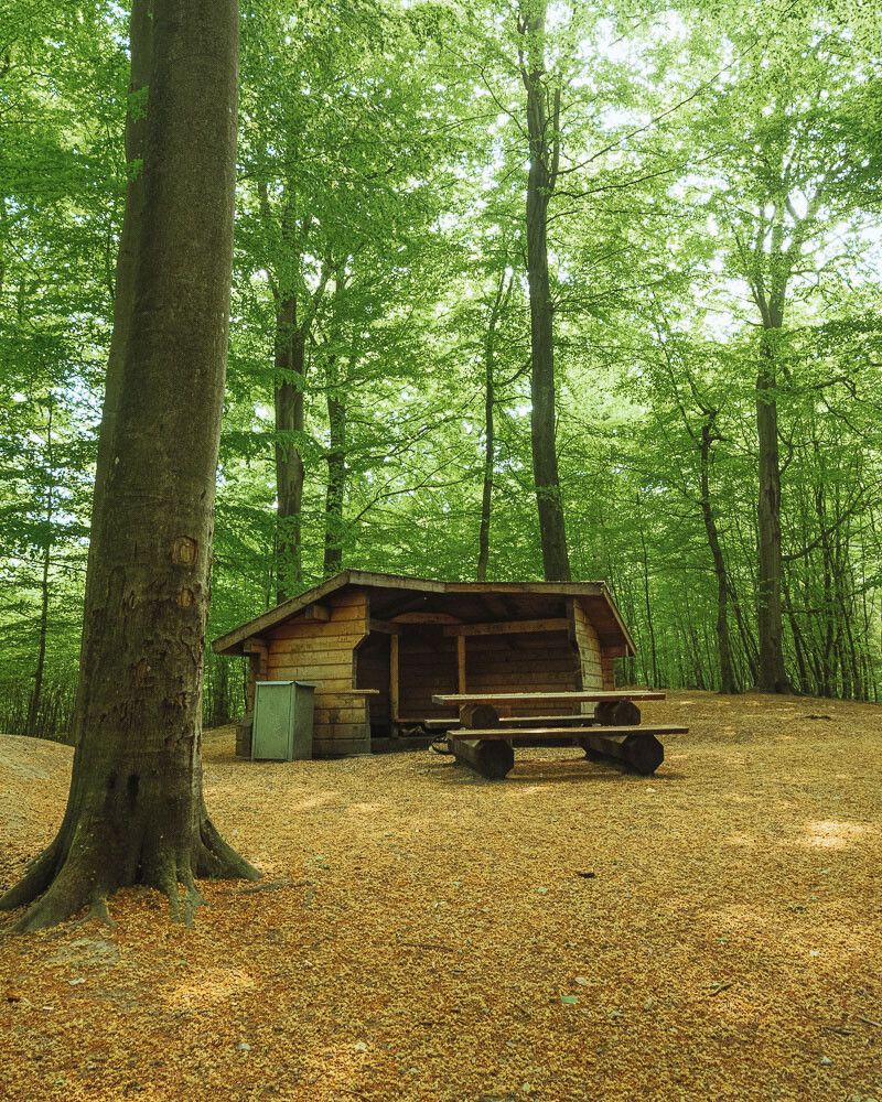 Cabin in the Woods