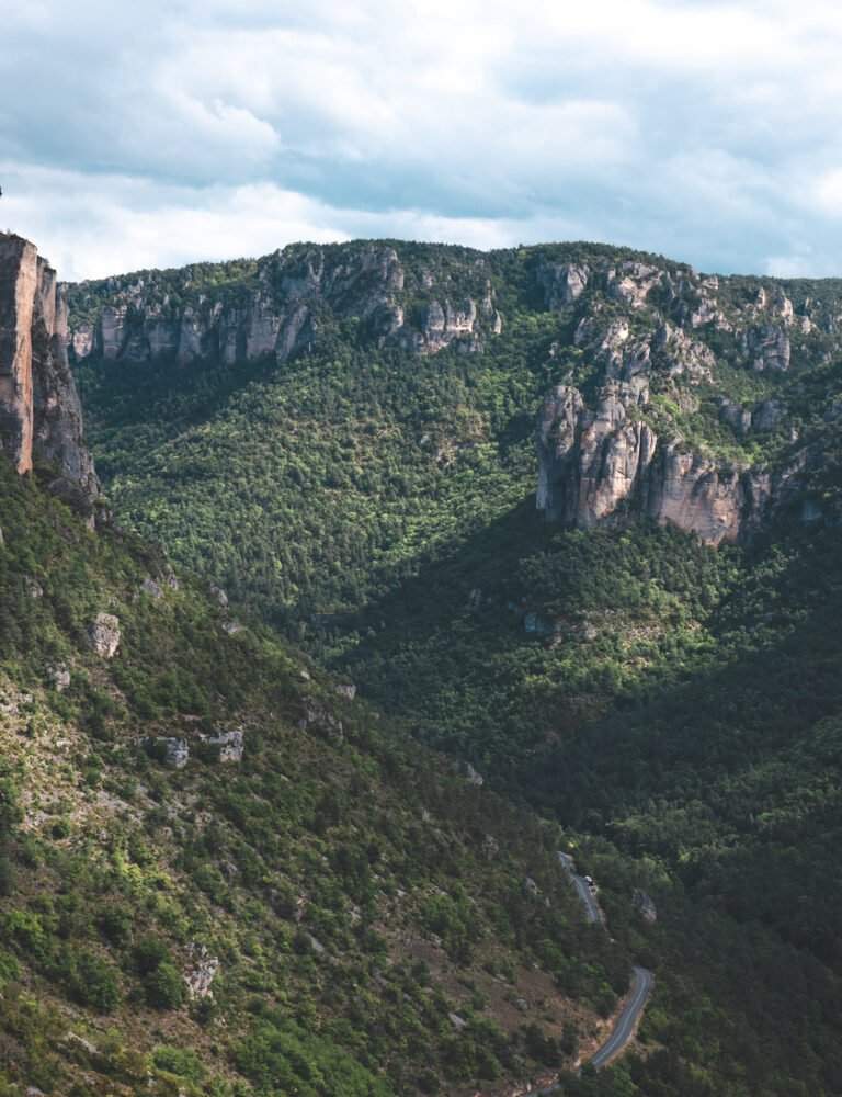 Vues sur les Gorges du Tarn