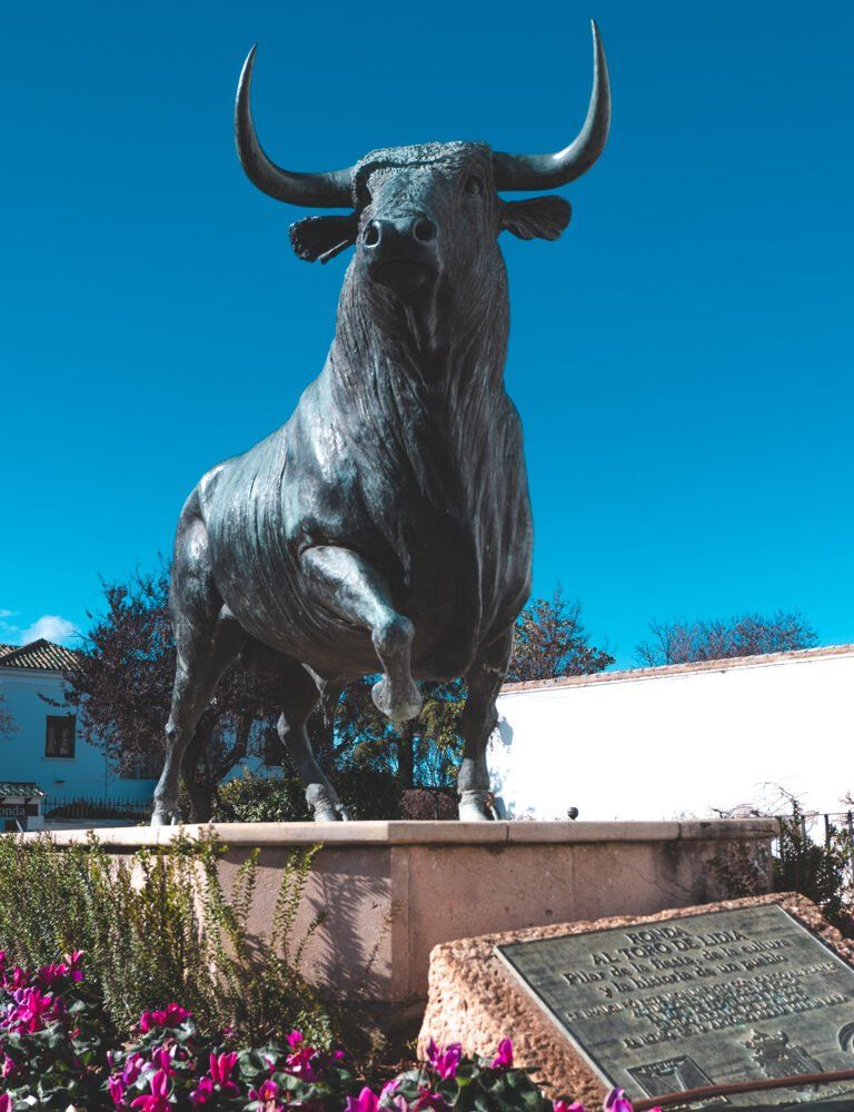 Bull arena