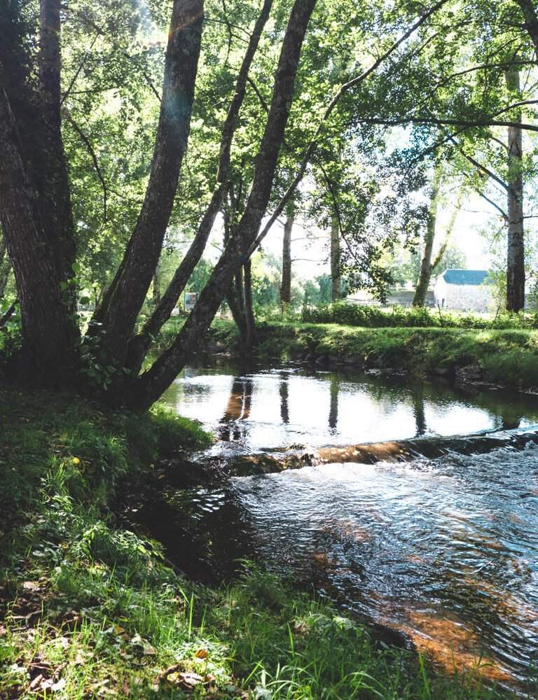 river near camper spot