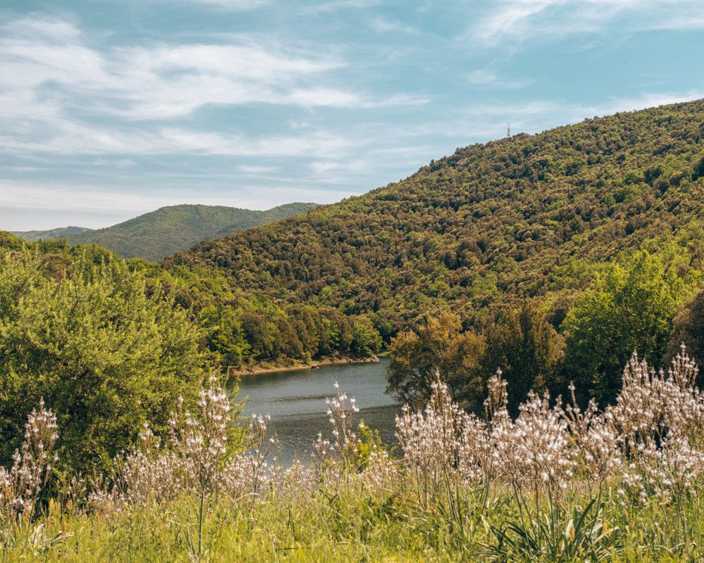 Beau lac et forêt en Sardaigne.