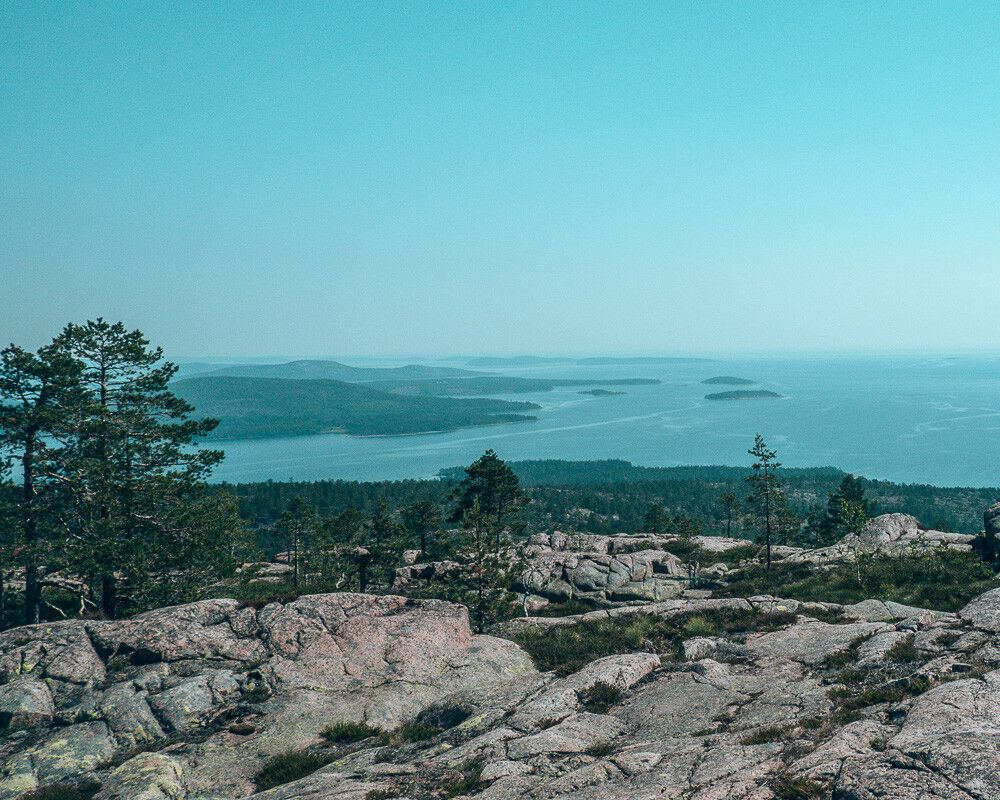 top of Slåttberget in Skuleskogen national park