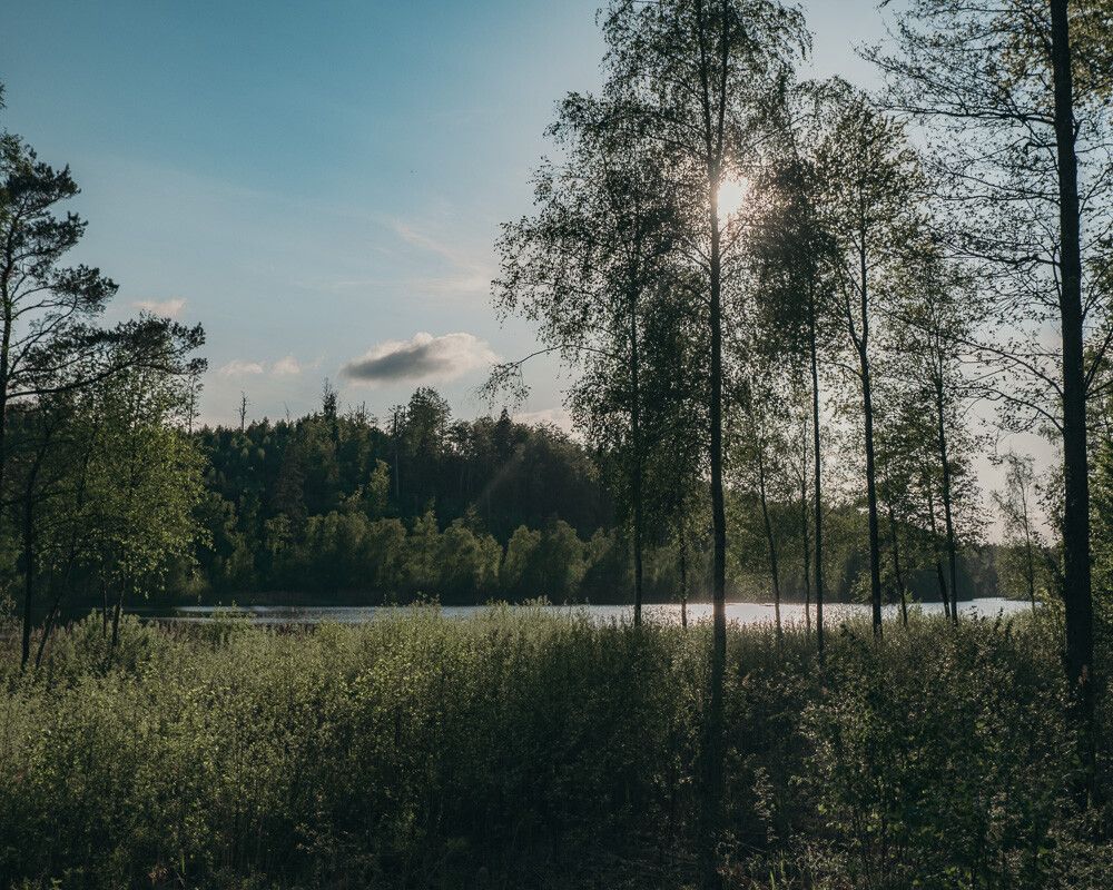 Lake in Sweden