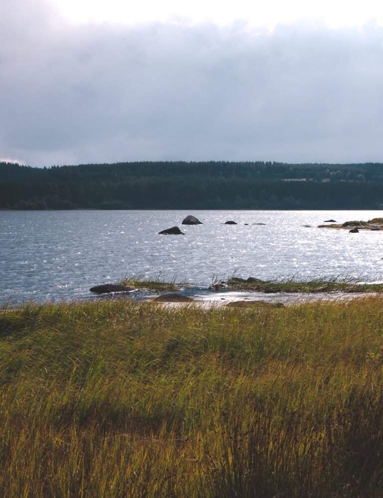 sun rays over lake
