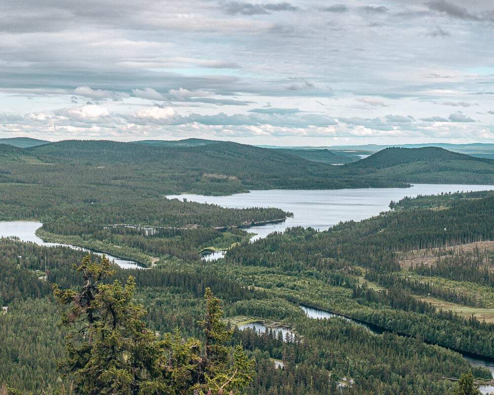 Point de vue de Stalonberget sur la Vildmarksvägen