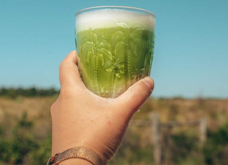 homemade iced matcha latte in palm tree glass