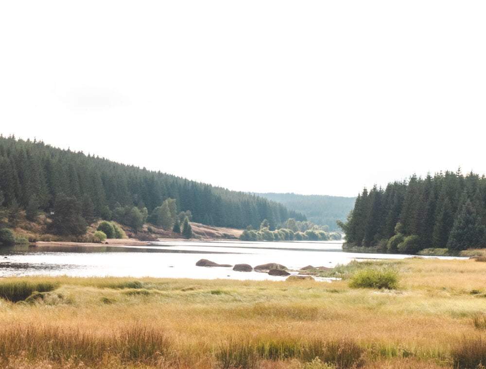 Lac de Charpal view with trees