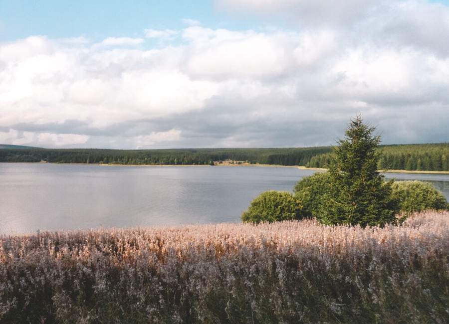Lac de charpal with pink flowers