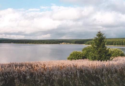 Lac de charpal with pink flowers