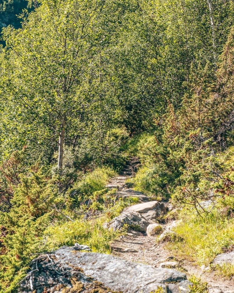 path on the hike 
