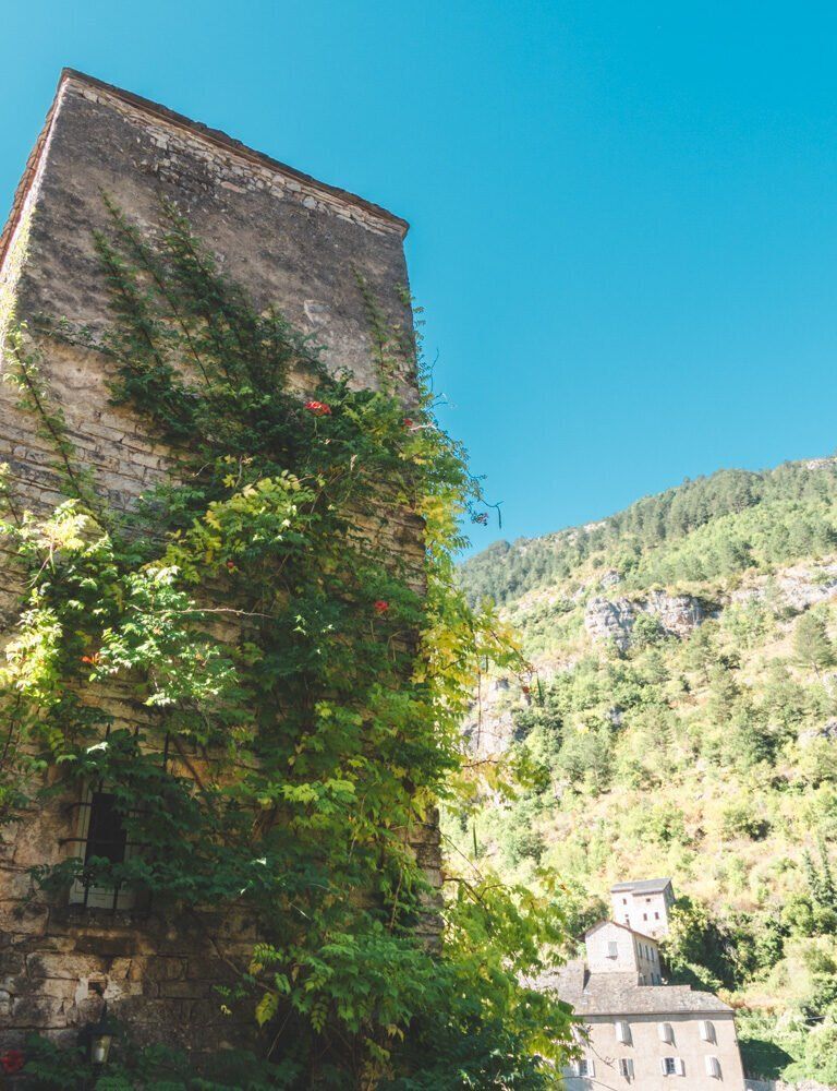 Green background with house in Sainte-Enimie