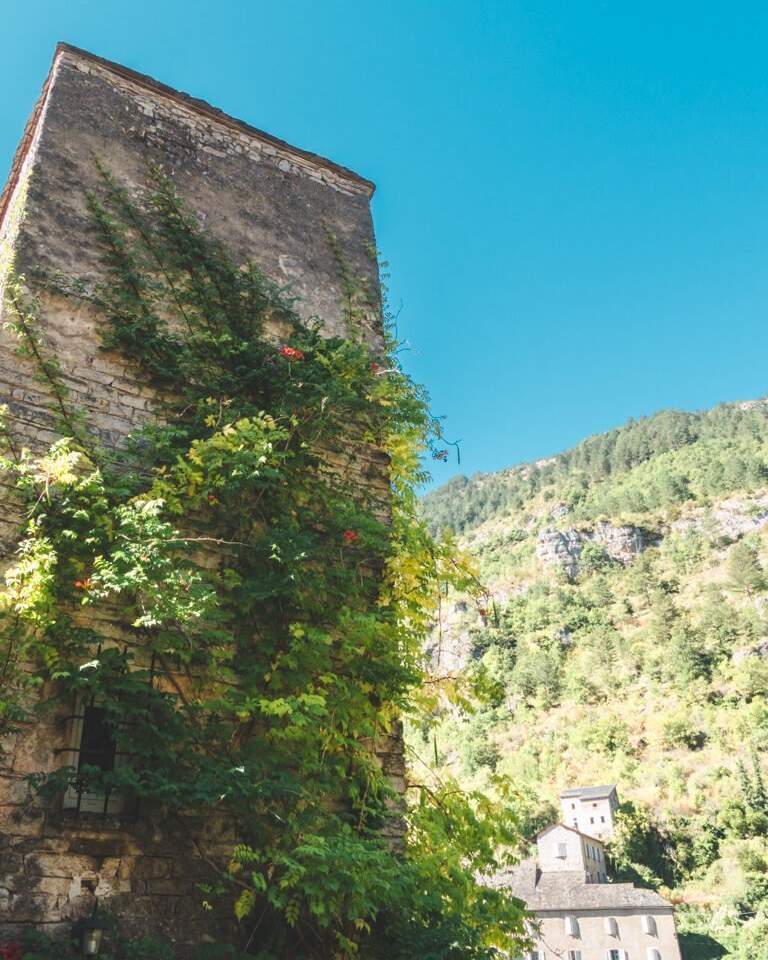 Green background with house in Sainte-Enimie