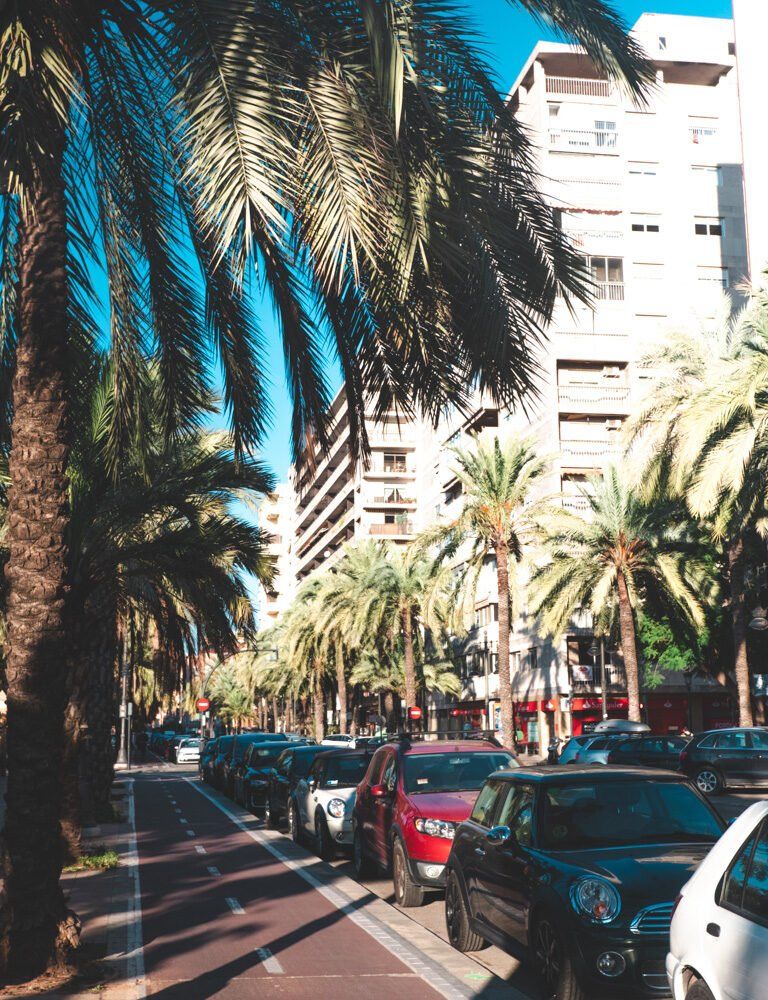 Biking lanes