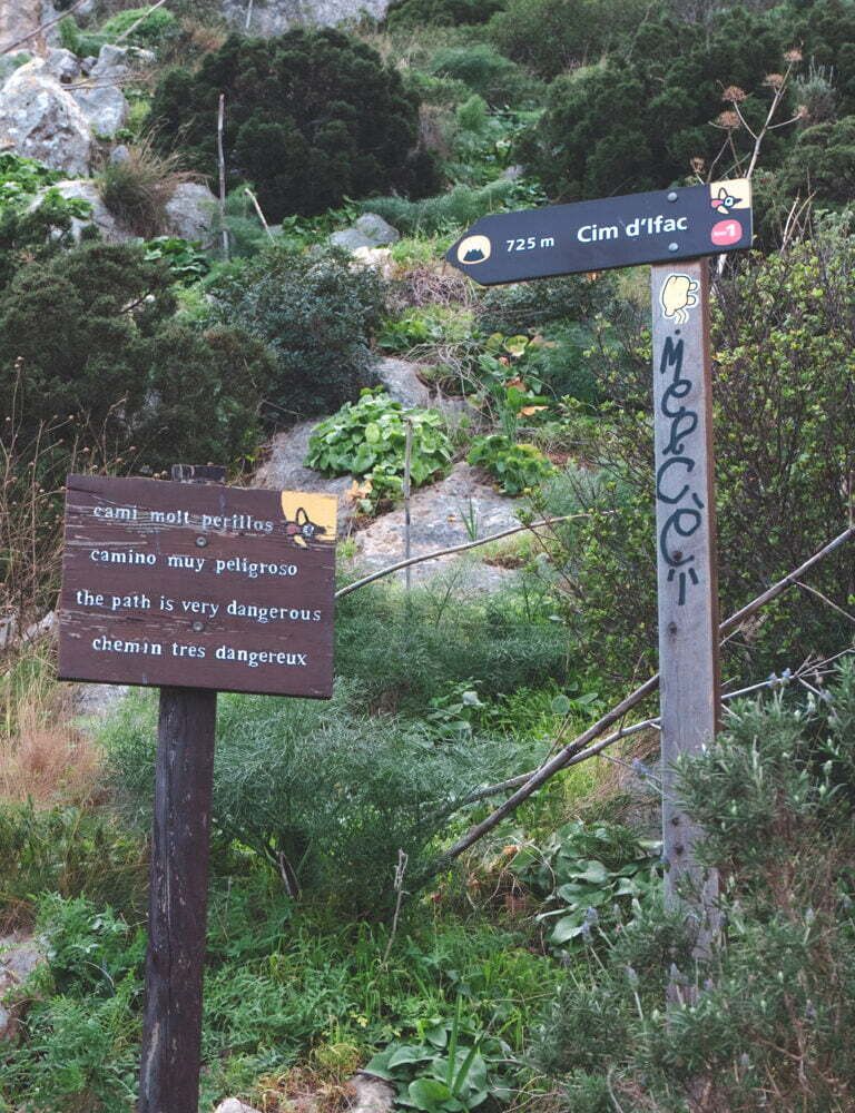 signs on the track