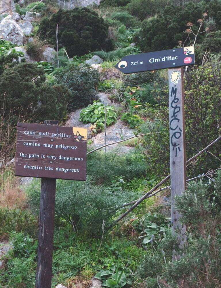 signs on the track